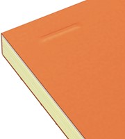 CURSUSBLOK OXFORD ORANGE NOTEPAD A4+ LIJN 4-GAATS 160 PAGINA'S 80GR ORANJE-2