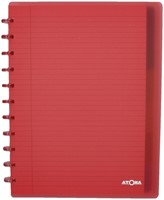 SCHRIFT ATOMA A4+ RUIT 5X5MM 120BLZ 90GR PP TRANSPARANT ASSORTI-3