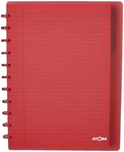 SCHRIFT ATOMA A4+ RUIT 5X5MM 120BLZ 90GR PP TRANSPARANT ASSORTI-3
