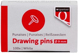 PUNAISES QUANTORE 100 STUKS ZILVER