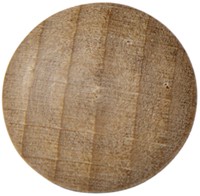 MAGNEET LEGAMASTER HOUT 5 STUKS-3
