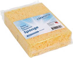 SPONS CLEANINQ VISCOSE GROOT