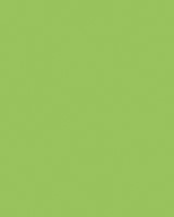 ETALAGEKARTON FOLIA 1-ZIJDIG 48X68CM 380GR NR941 FLUOR GROEN