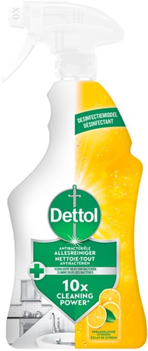 ALLESREINIGER DETTOL CITRUS DESINFECTIESPRAY 750ML