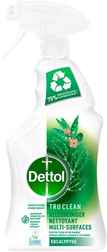 ALLESREINIGER DETTOL TC EUCALYPTUS SPRAY 500ML
