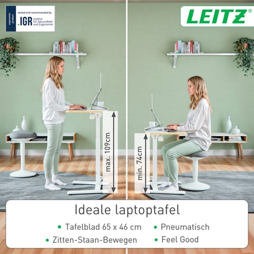 ZIT-STA BUREAU LEITZ ERGO COMPACT INKLAPBAAR-1