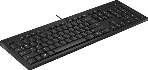 TOETSENBORD HP 125 USB BEDRAAD QWERTY-2