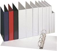 PRESENTATIERINGBAND ESSELTE ESSENTIALS PANORAMA A4 4-RINGS D-MECHANIEK 30MM WIT-3