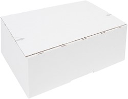 POSTPAKKETBOX IEZZY 4 305X215X110MM WIT