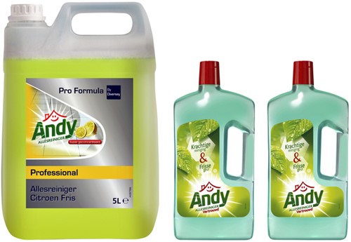 ALLESREINIGER ANDY CITROEN FRIS 5 LITER-2
