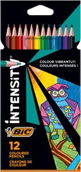 KLEURPOTLODEN BIC INTENSITY ASSORTI ETUI  À 12 STUKS