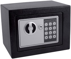 KLUIS PAVO MINI ELEKTRONISCH 230X170X170MM ZWART