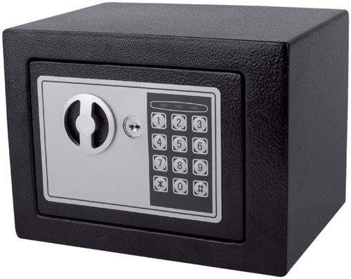 KLUIS PAVO MINI ELEKTRONISCH 230X170X170MM ZWART-1