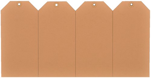 LABEL KARTON NR 5 200GR 55X110MM CHAMOIS 1000 STUKS-2