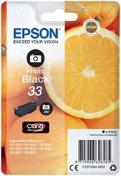 INKTCARTRIDGE EPSON 33 T3341 FOTO ZWART
