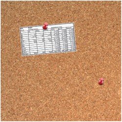 PRIKBORD DESQ 35X35CM KURK