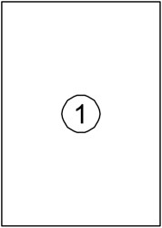 ETIKET QUANTORE 210X297MM 100 STUKS