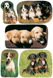 ETIKET HERMA 3528 HONDEN